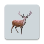 Logo of Decoy for hoofed animals android Application 